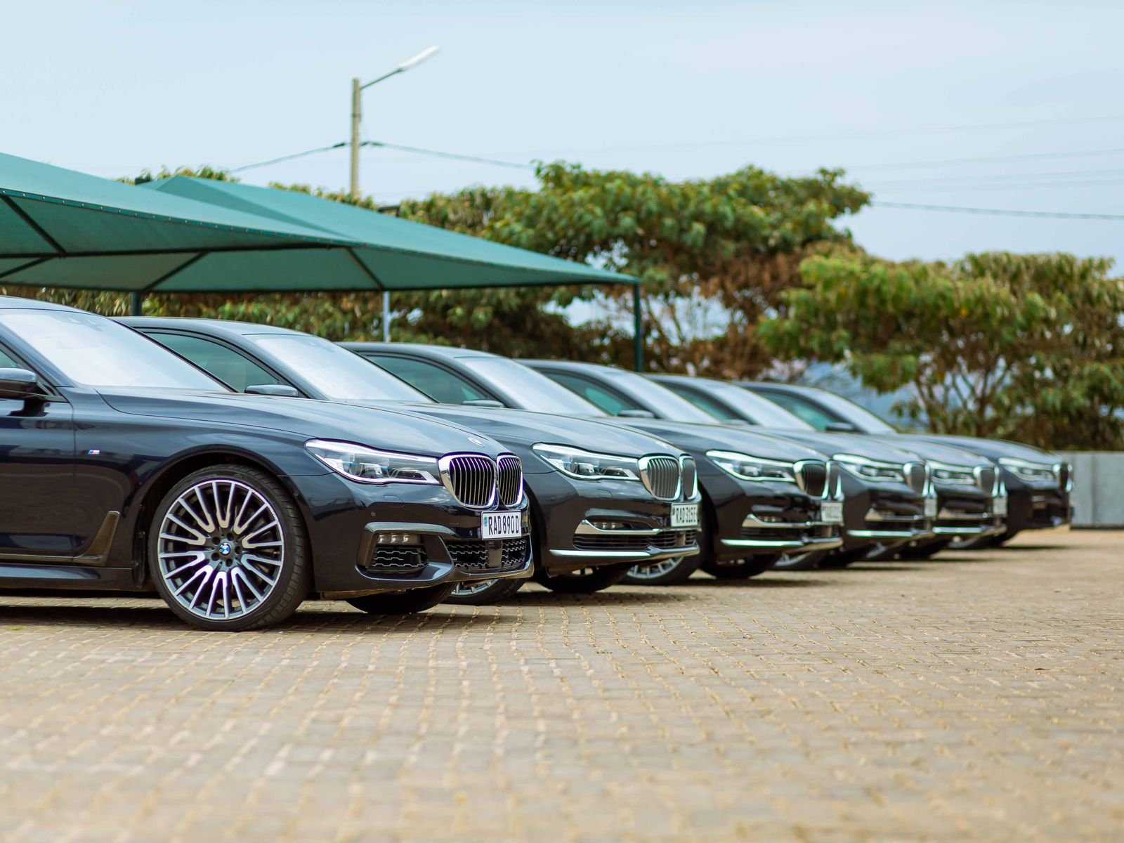 Wedding chauffeur Melbourne — bmw
